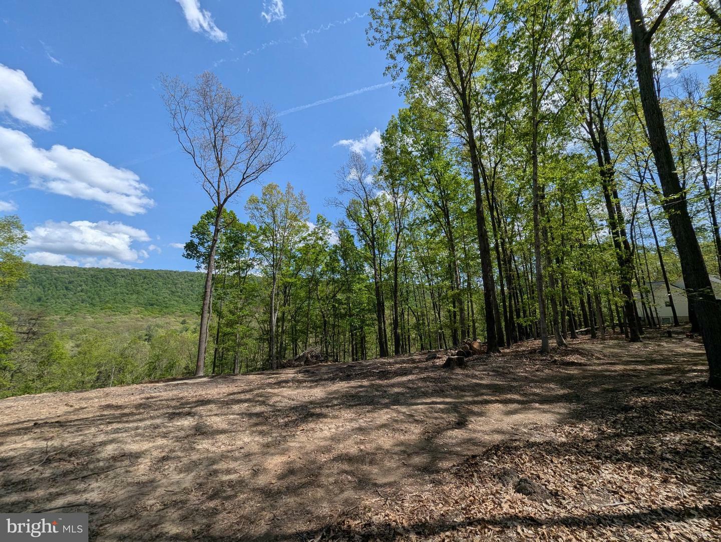 Property Photo: Lot 20 Otter Creek Drive WV 25420