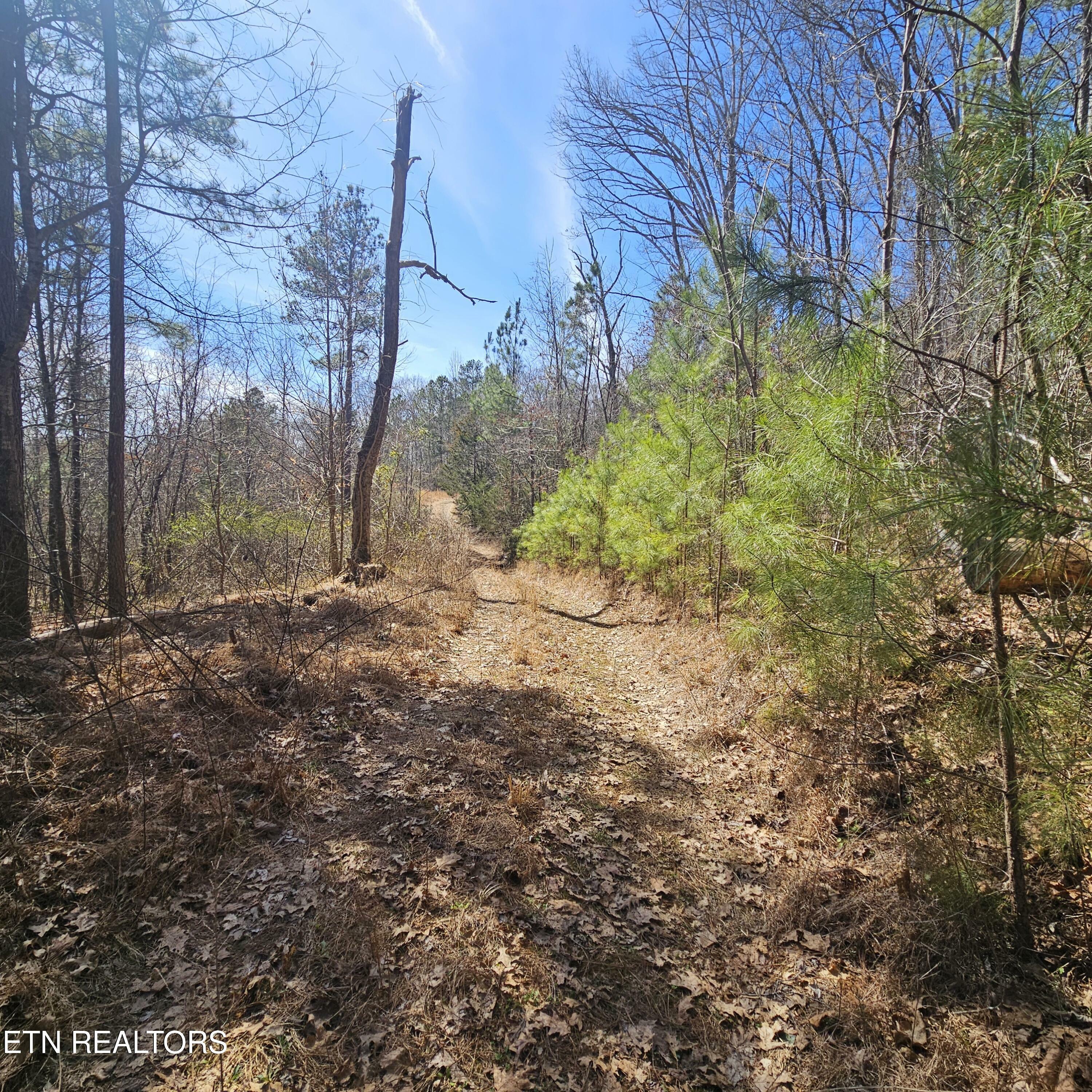 Property Photo: 0 Lick Creek Rd TN 37385