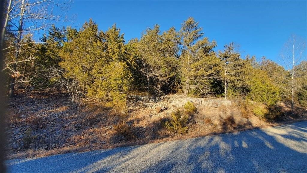 7 Arapaho Drive  Holiday Island AR 72631 photo