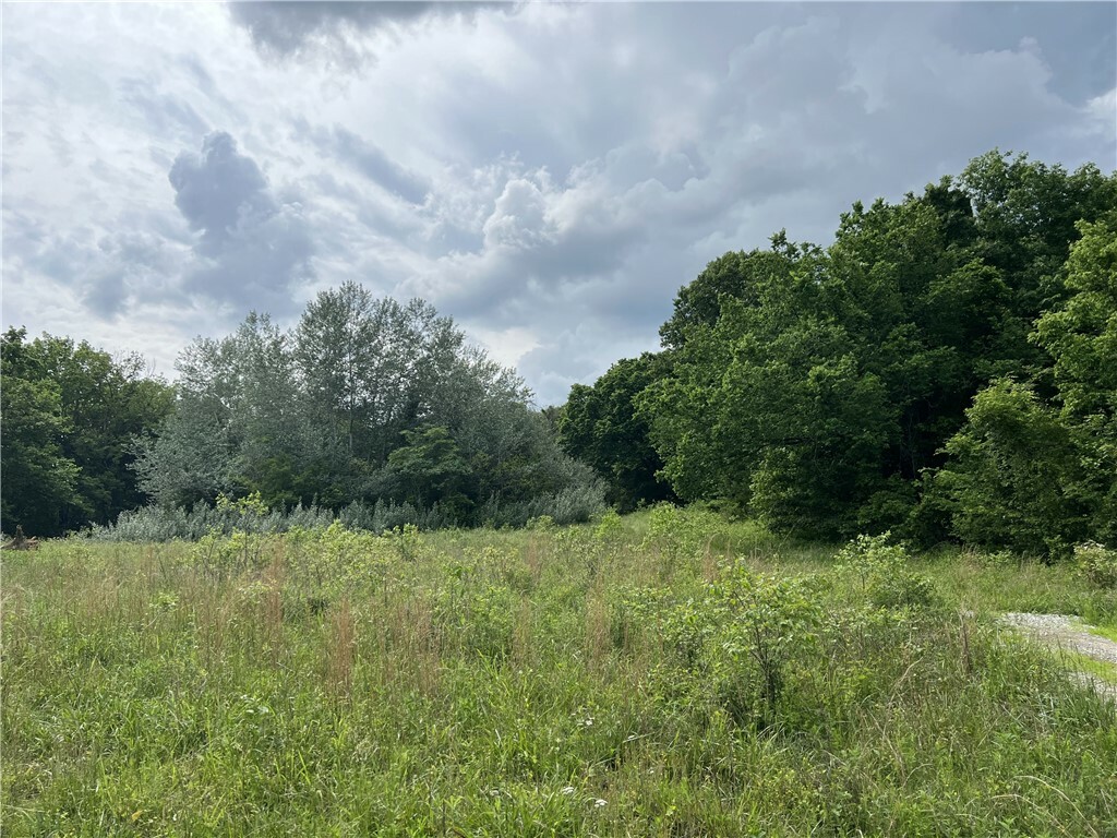 Property Photo:  21.58 Acres On Meadow Creek Drive  AR 72601 