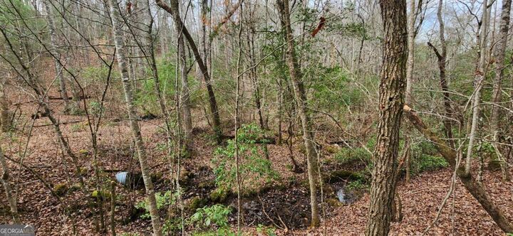 Property Photo: Lot 18 Gray Fox Trail GA 30512