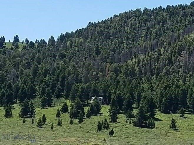 Property Photo:  Parcel 23 Buffalo Lance Ranch  MT 59720 