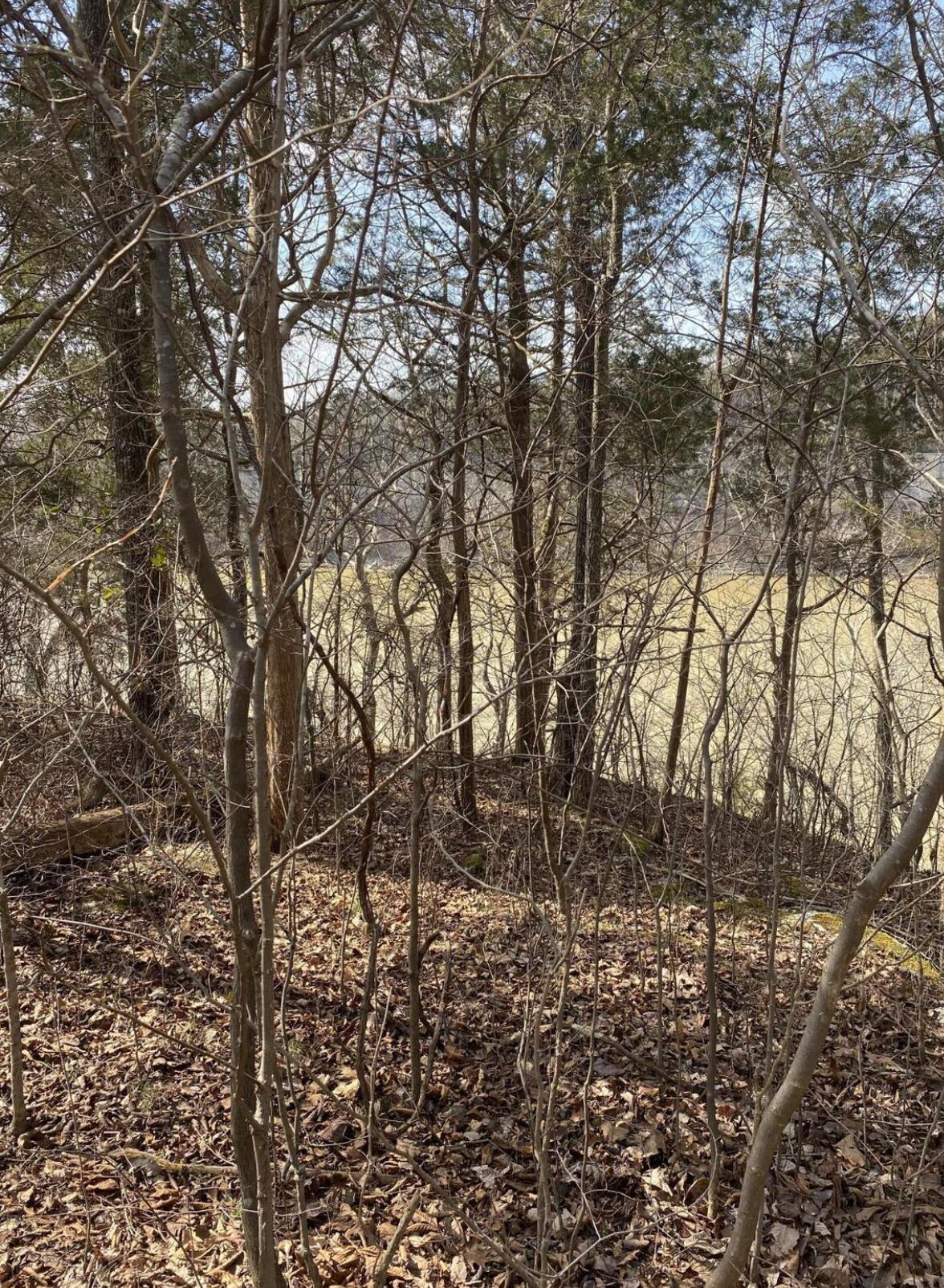 Property Photo:  Lot 3 North Fork Road  KY 42519 