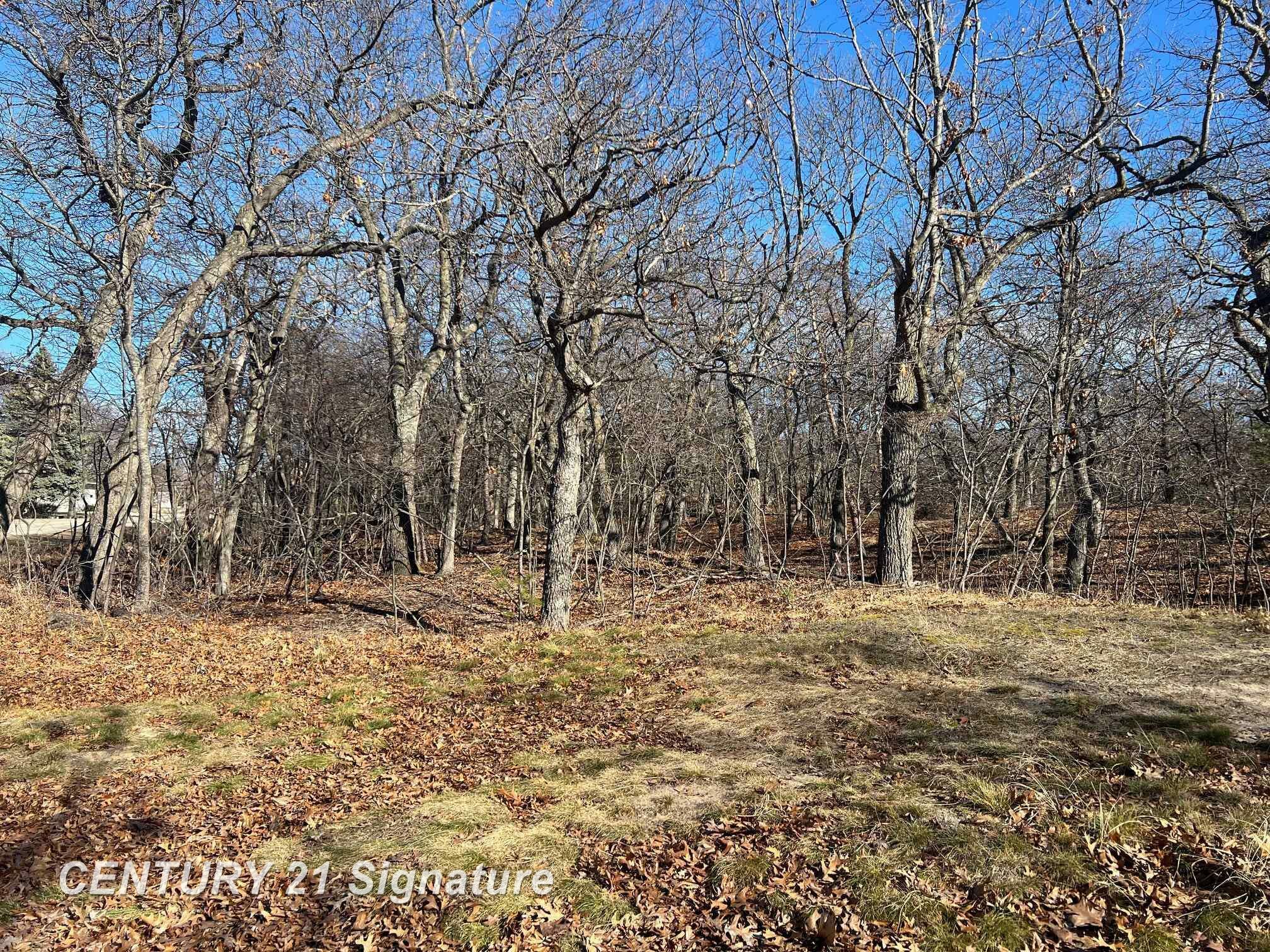 Property Photo: V/L Crescent Beach Road MI 48755