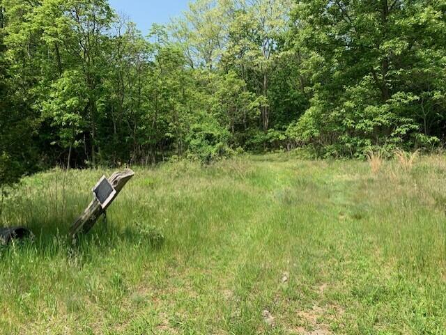 Property Photo: 0 65th Street MI 49423