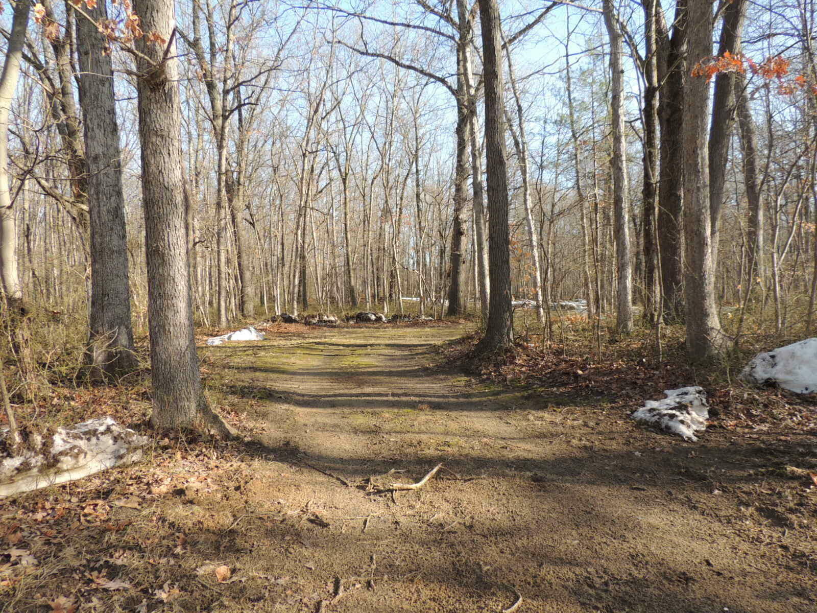 Property Photo:  116th Ave.  MI 49408 