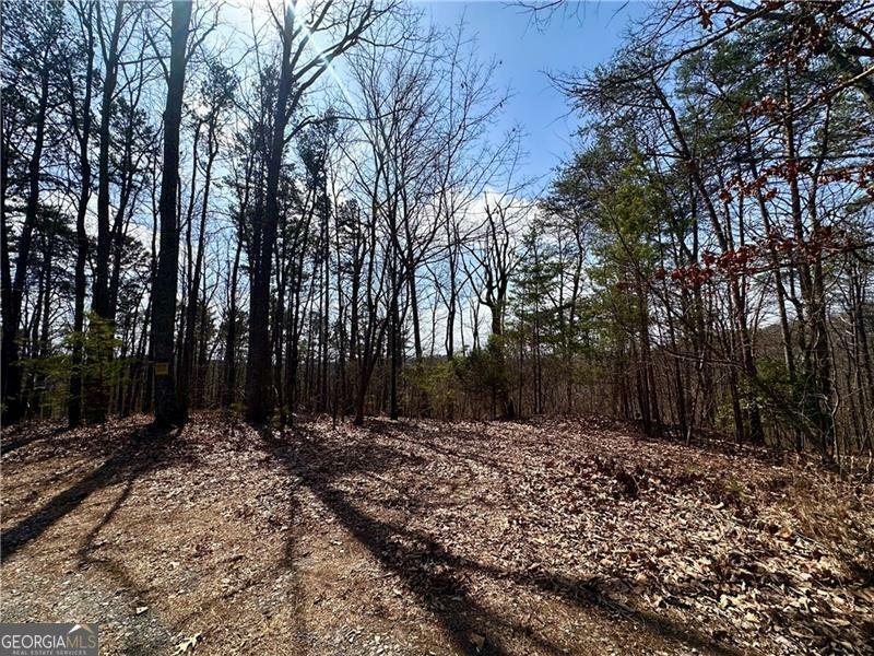 Property Photo: 1345 Hunter Drive GA 30734