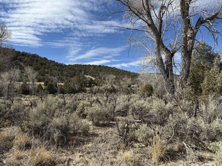 Property Photo:  1460 S Rainbow Drive  UT 84759 