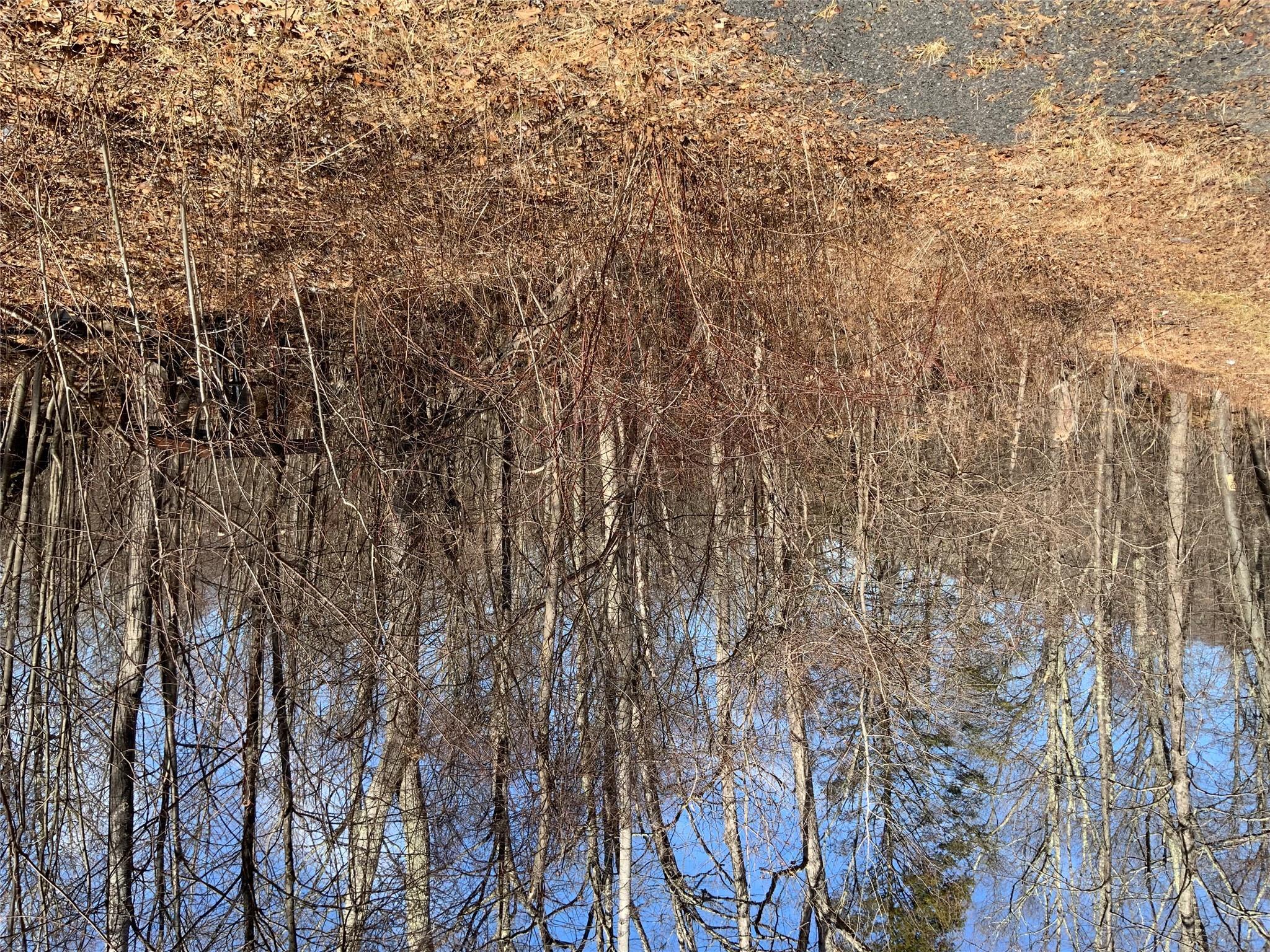 Property Photo: Tbd Hawleys Corner NY