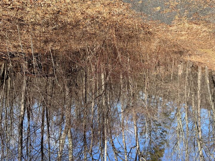 Property Photo:  Tbd Hawleys Corner  NY  