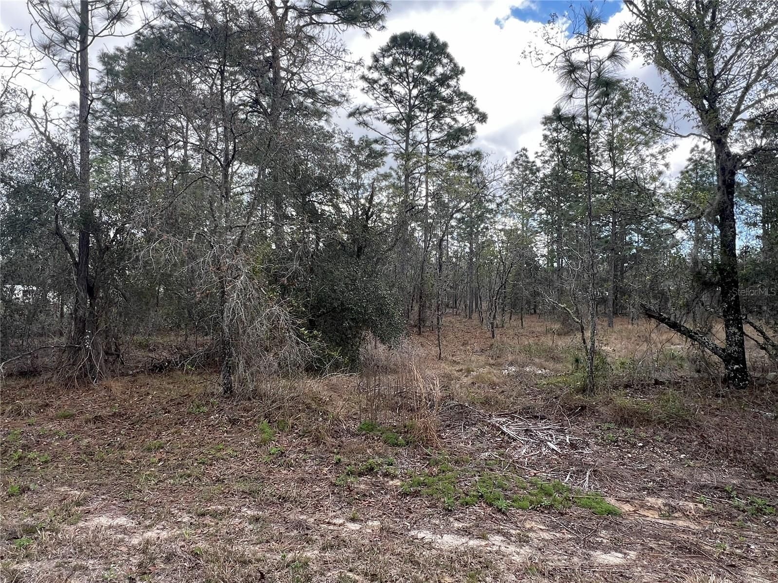 Property Photo: Lot 16 SE 136 Terrace FL 34431
