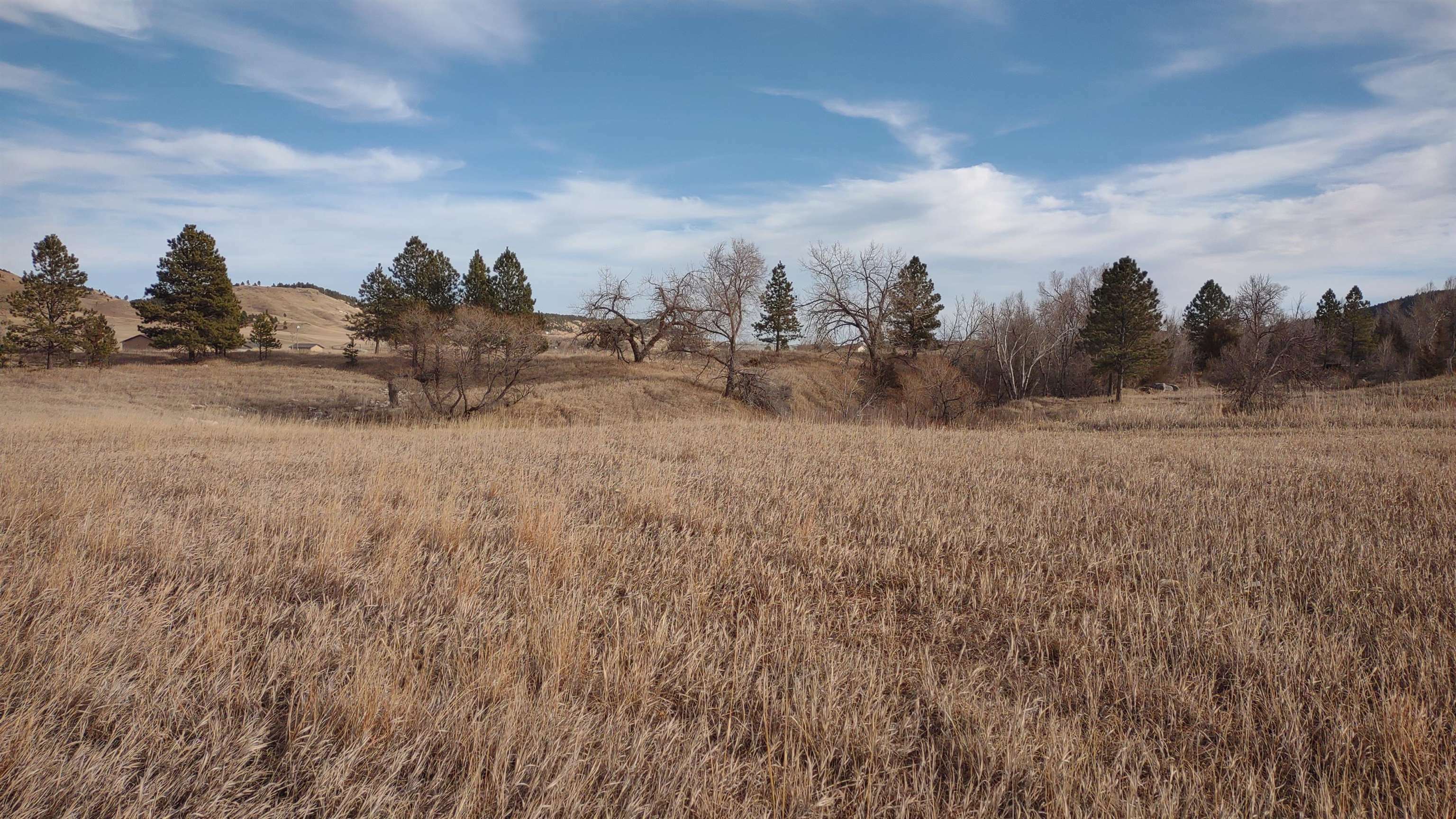 13496 Sturgis Road  Piedmont SD 57769 photo