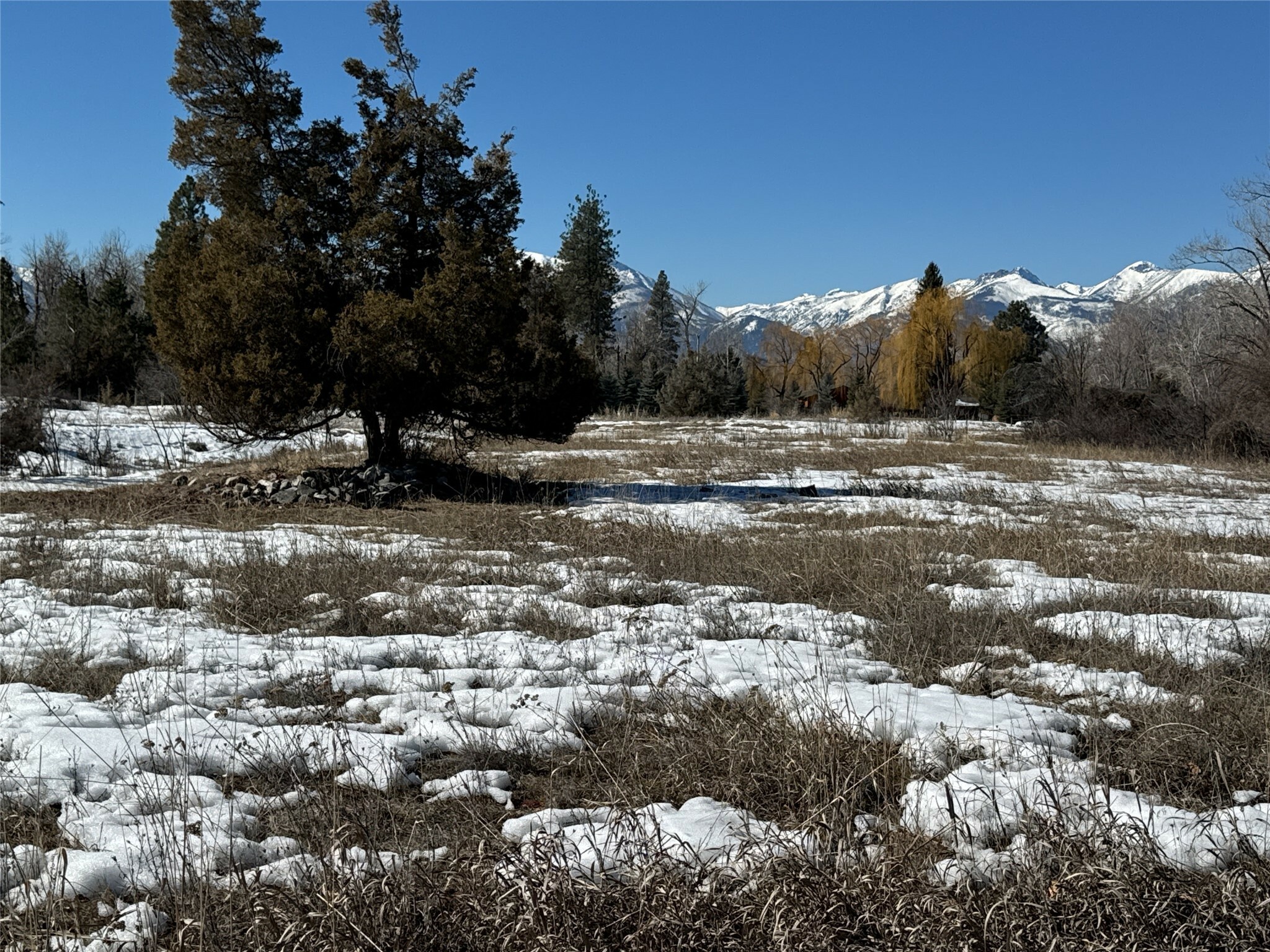 Nhn Middle Burnt Fork Road  Stevensville MT 59870 photo