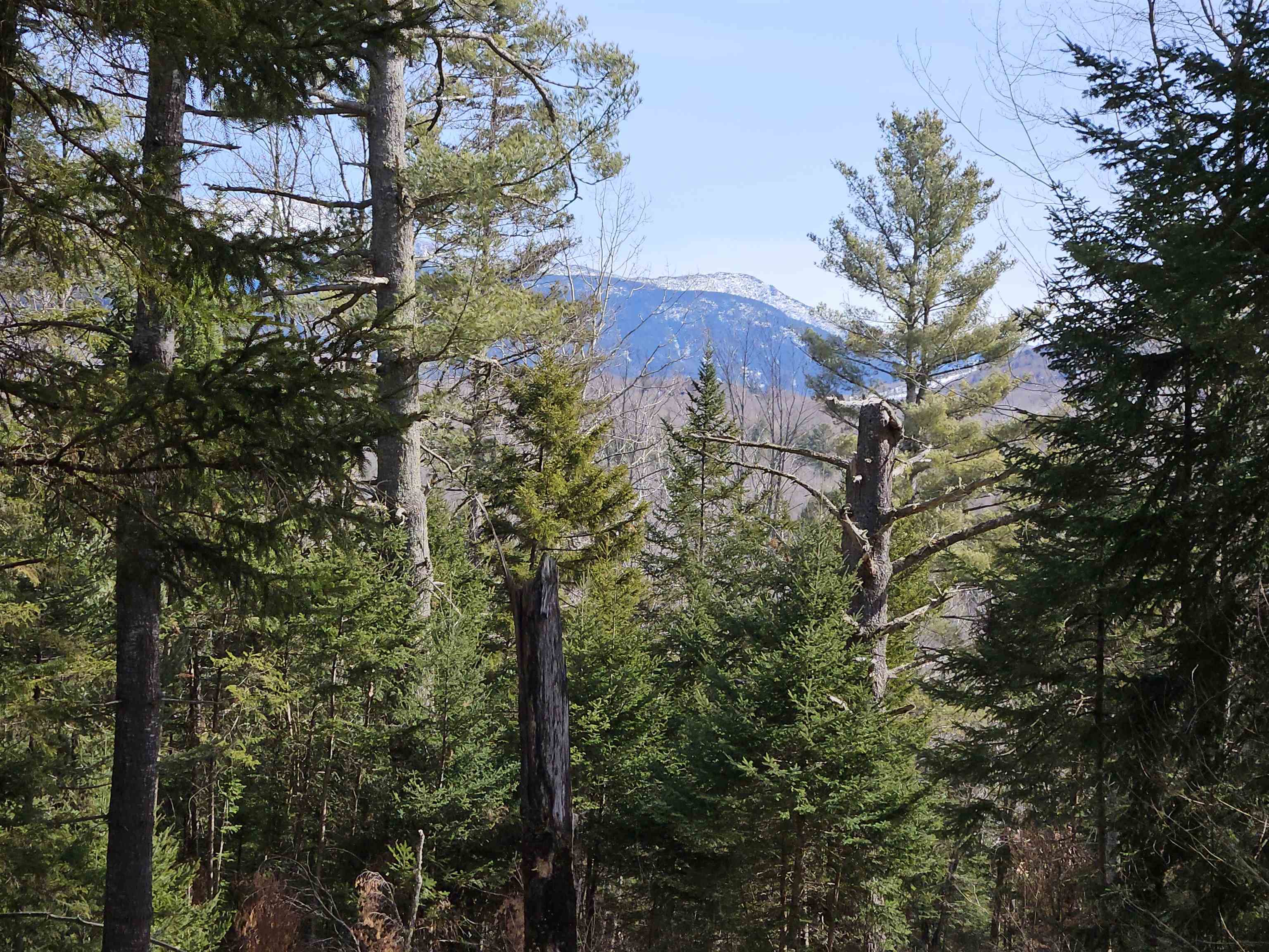 Property Photo:  592 Wells Road  NH 03580 