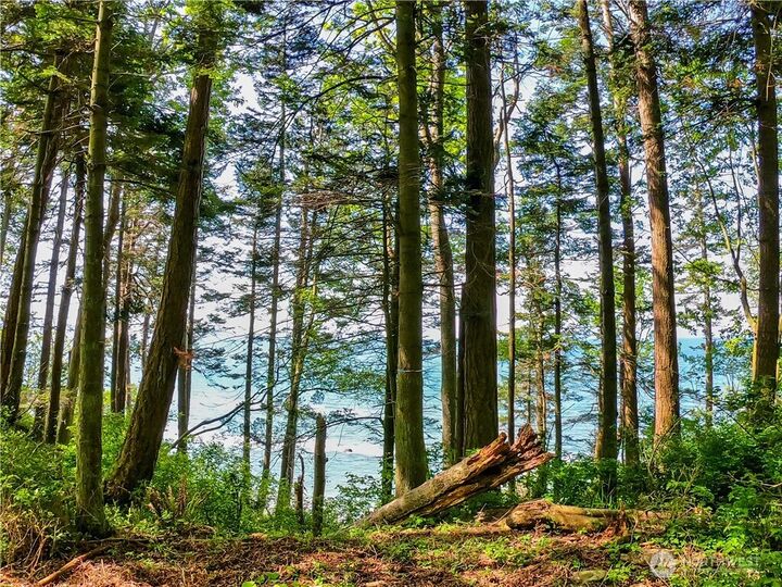 Property Photo:  12  Koehn Road  WA 98230