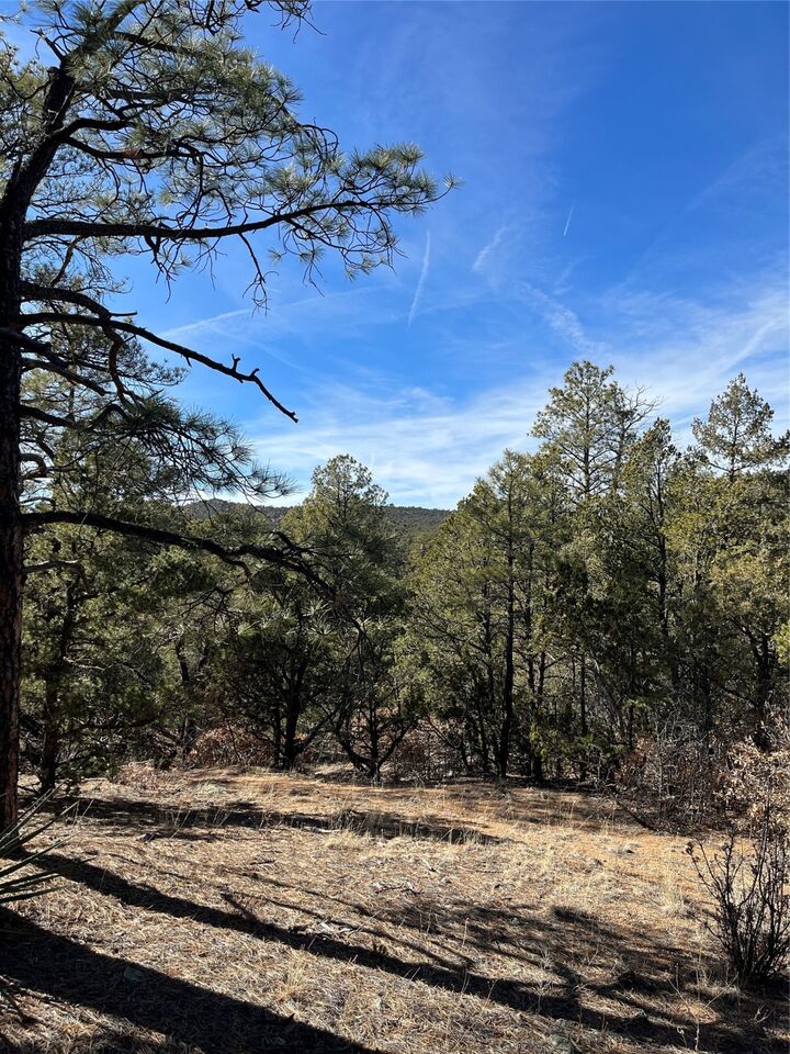 Property Photo: 0 La Posta Way Tract 7-1 NM 87505