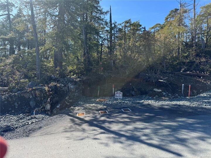 Lot 103 Shore Pine Dr — photo 1