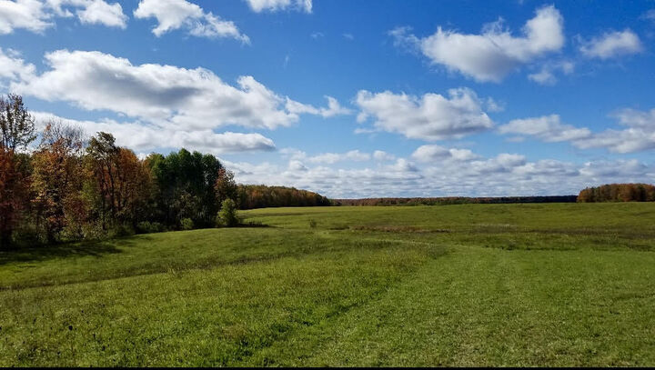 Property Photo: 2708 Leino Road MI 49751