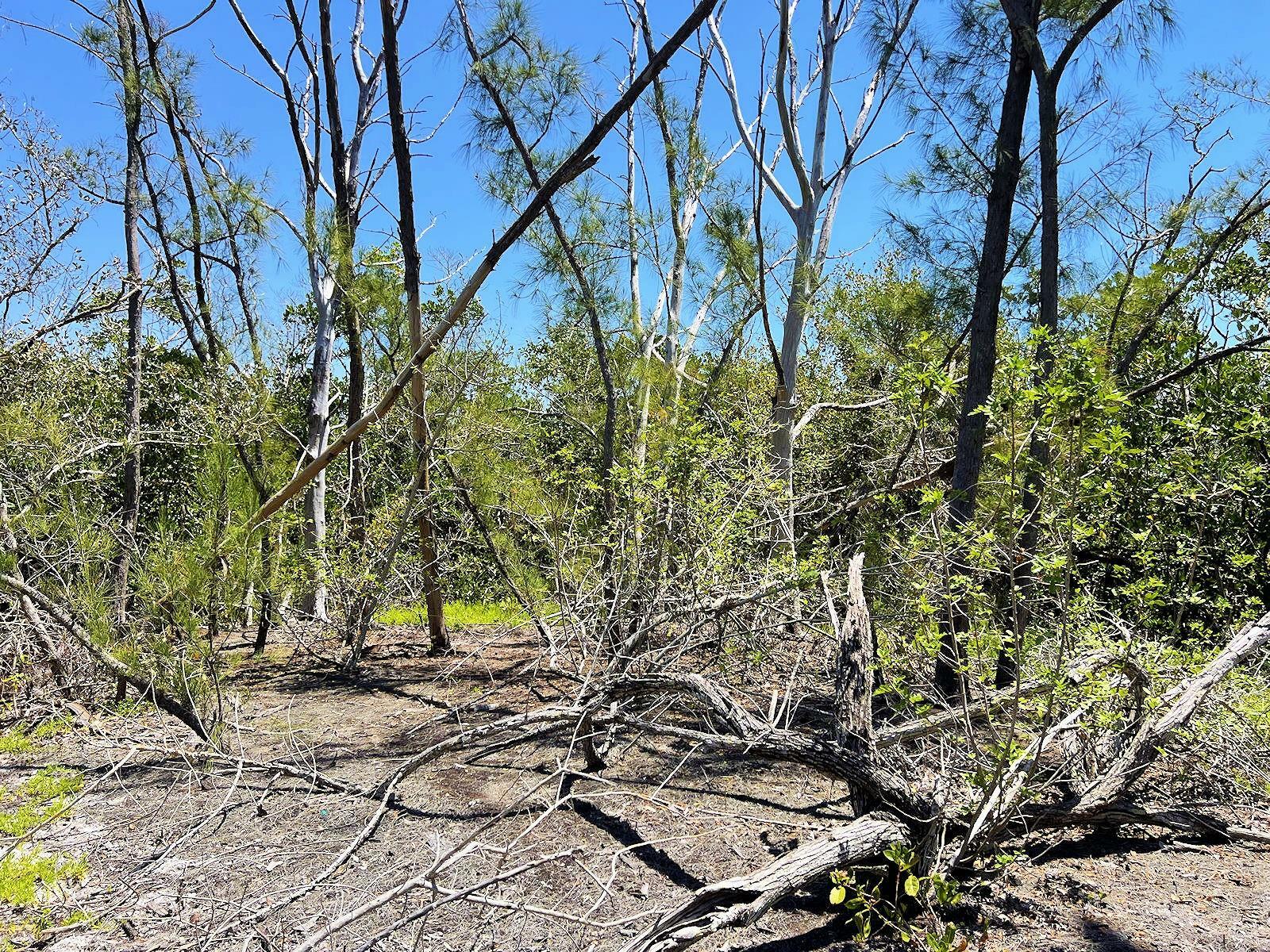 Property Photo: The Island Property Manasota Key FL 34223