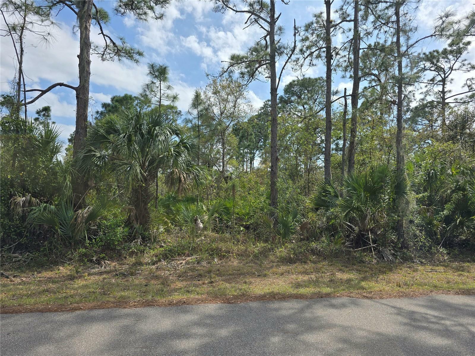 Property Photo: 14055 Rider Avenue FL 33953