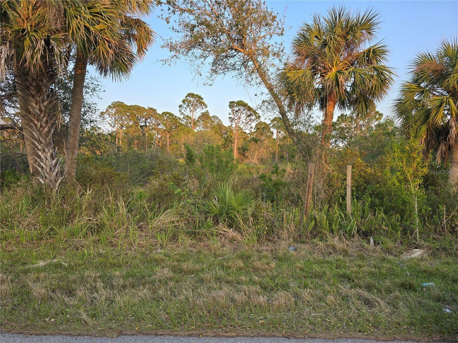 Property Photo: 2592 McPhearson Drive FL 33953