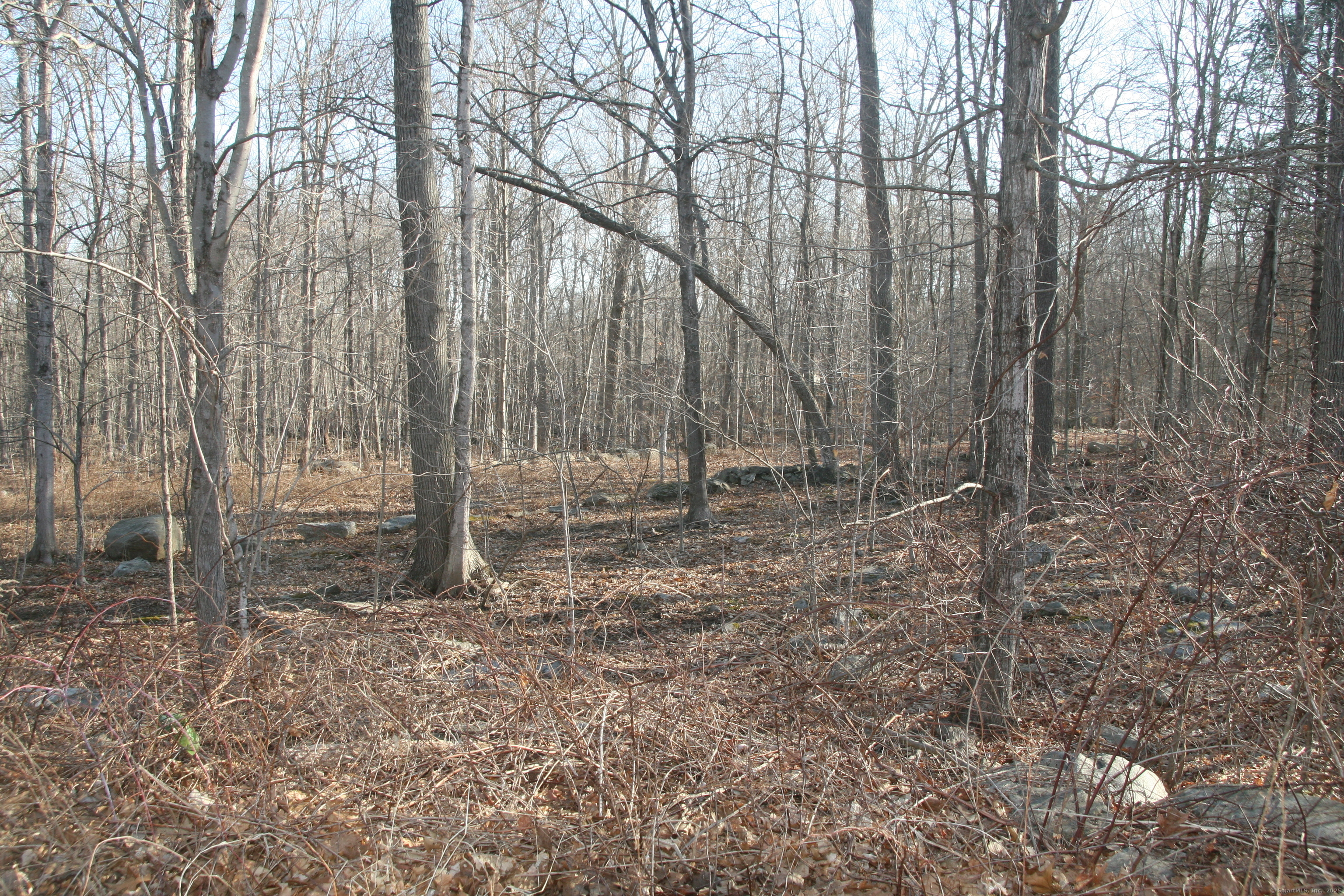 Property Photo: Beacon Hill Drive CT 06250