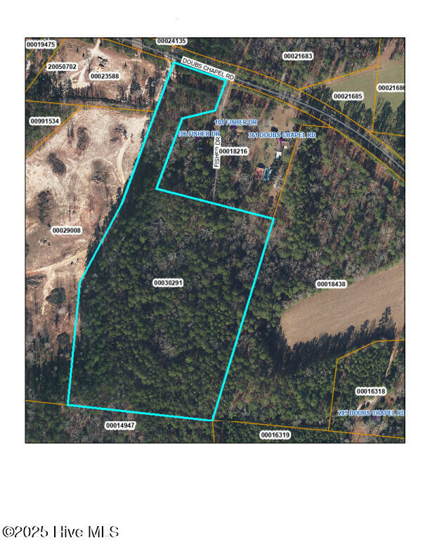 Property Photo:  395 Doubs Chapel Road  NC 27376 