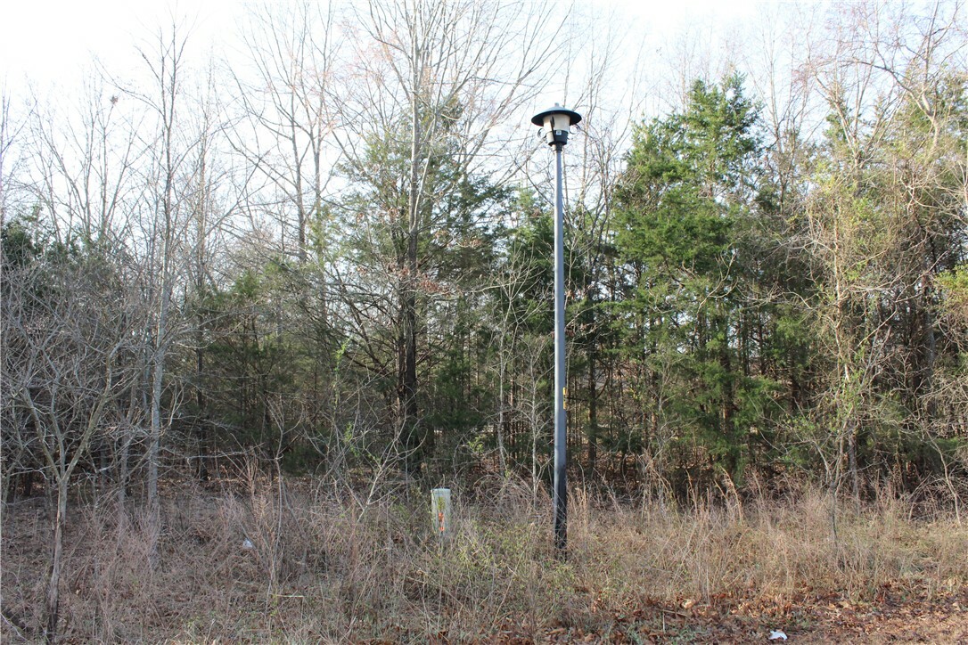 Property Photo:  761-00014-000 Falltime Drive  AR 72619 