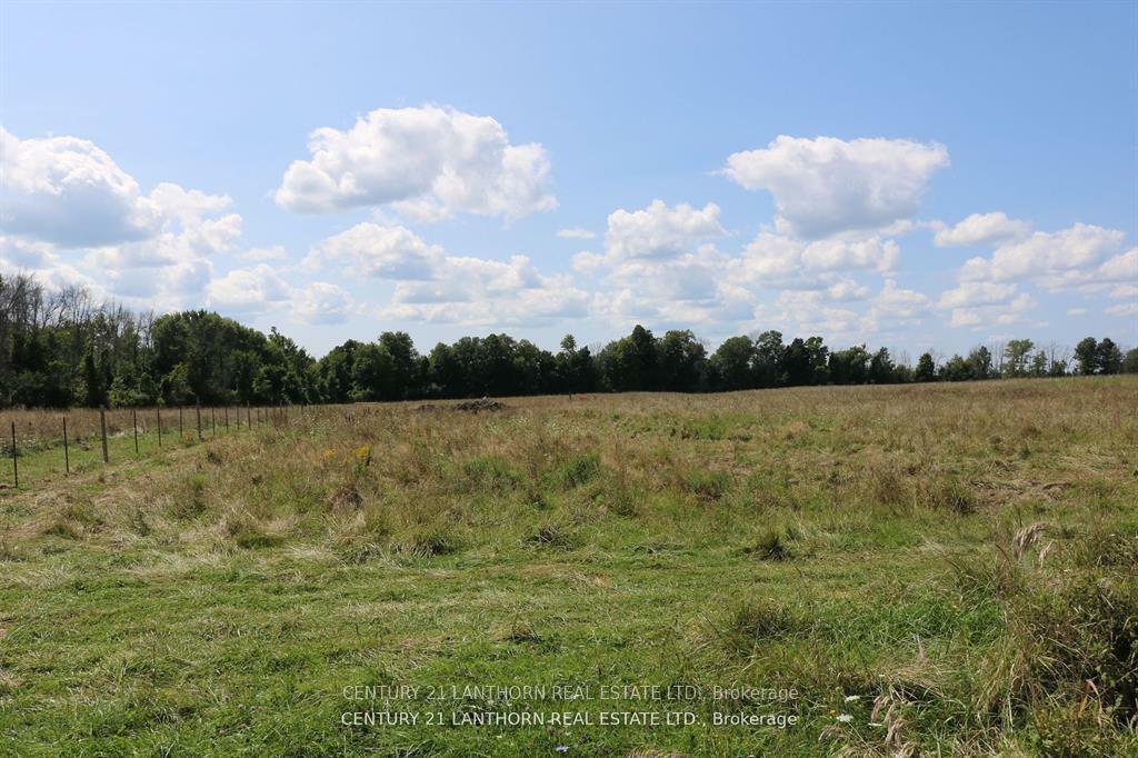 837 Fish Lake Road  Prince Edward County ON K0K 1W0 photo