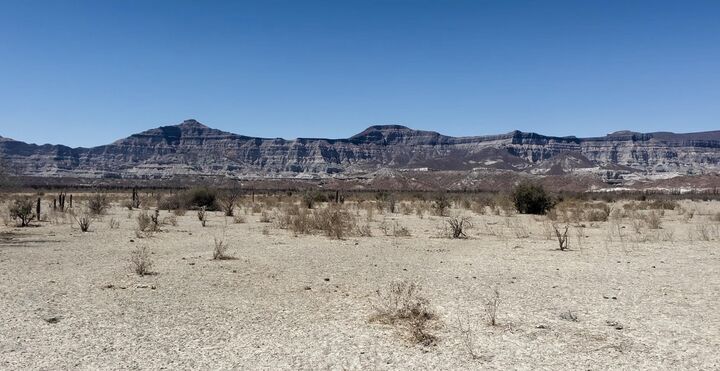 Property Photo:  Development Land  BS  