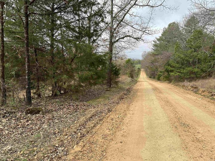 Property Photo: Lot 2 Raby Road AR 72432
