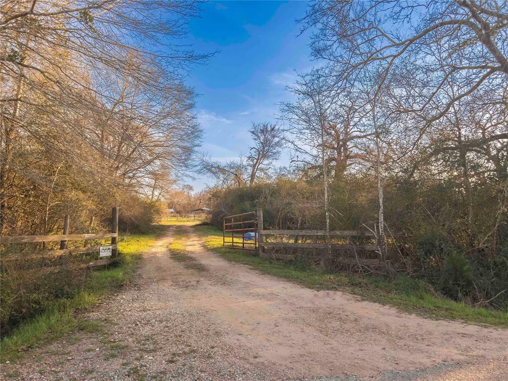 38241 Wiggins Road  Hempstead TX 77445 photo