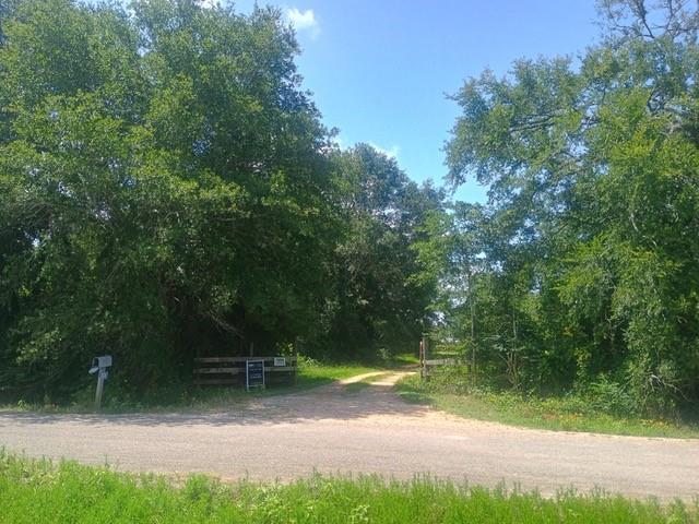 Property Photo: 38241 Wiggins Road TX 77445