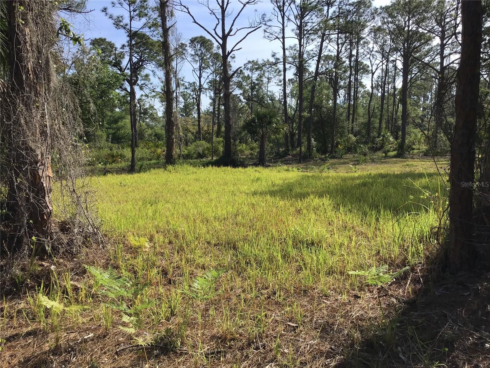 Property Photo: 13068 And 13076 Woolard Avenue FL 33953