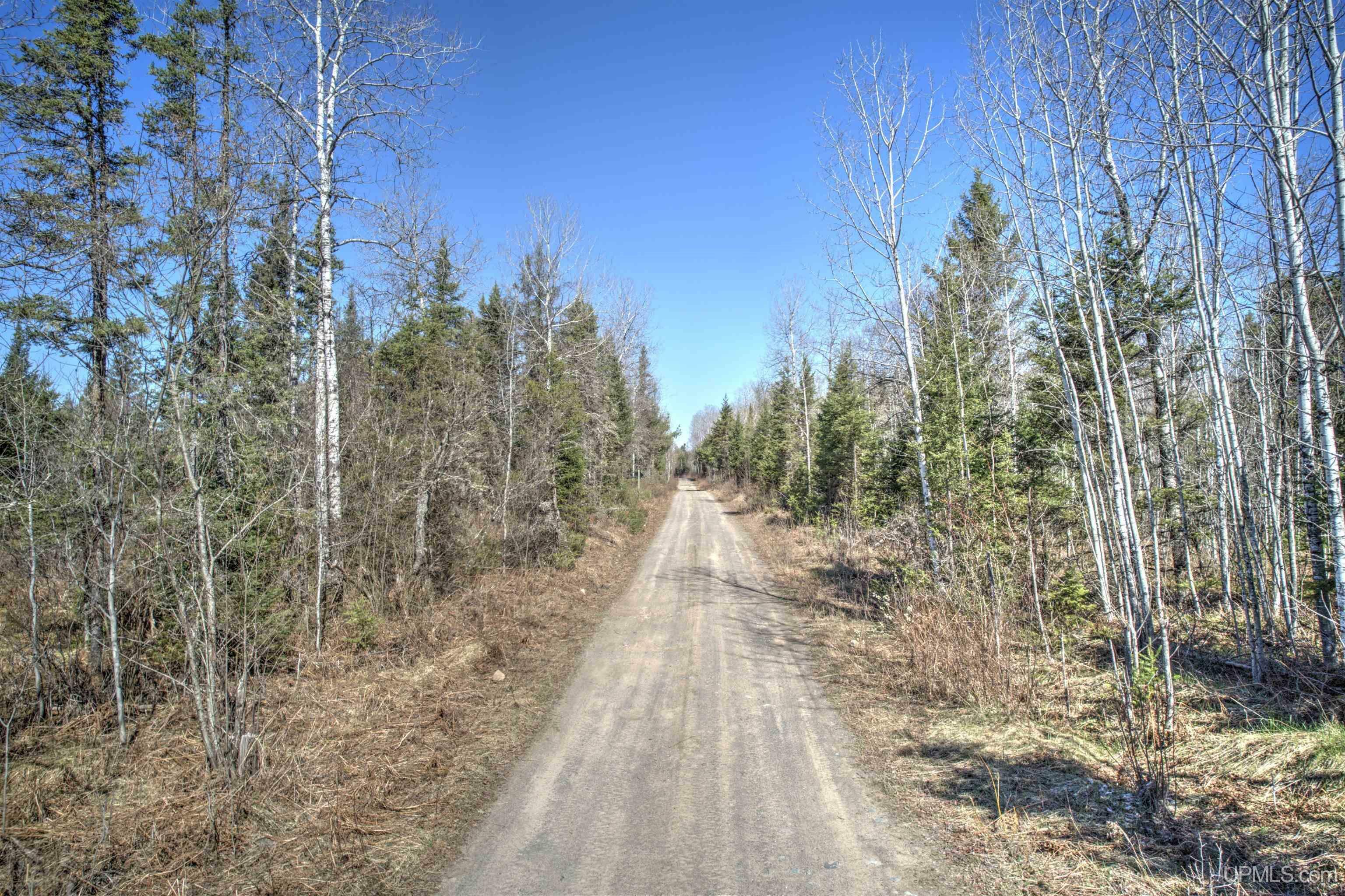 Property Photo: Tbd Wests Road MI 49920