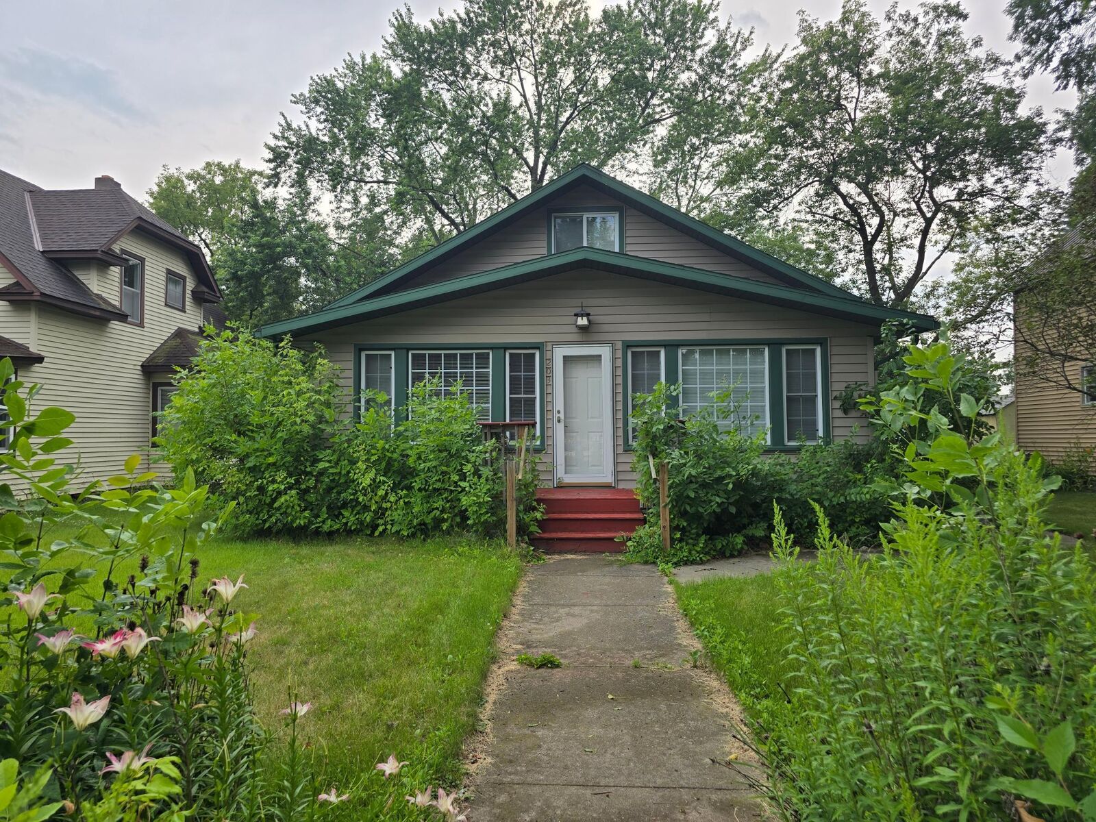 Property Photo:  203 Pine Street N  MN 56359 