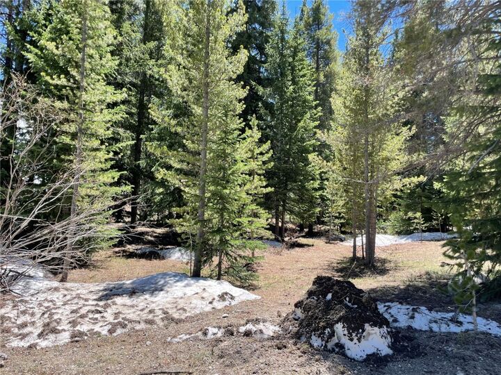 Property Photo:  15 Wilderness Drive  CO 80424 
