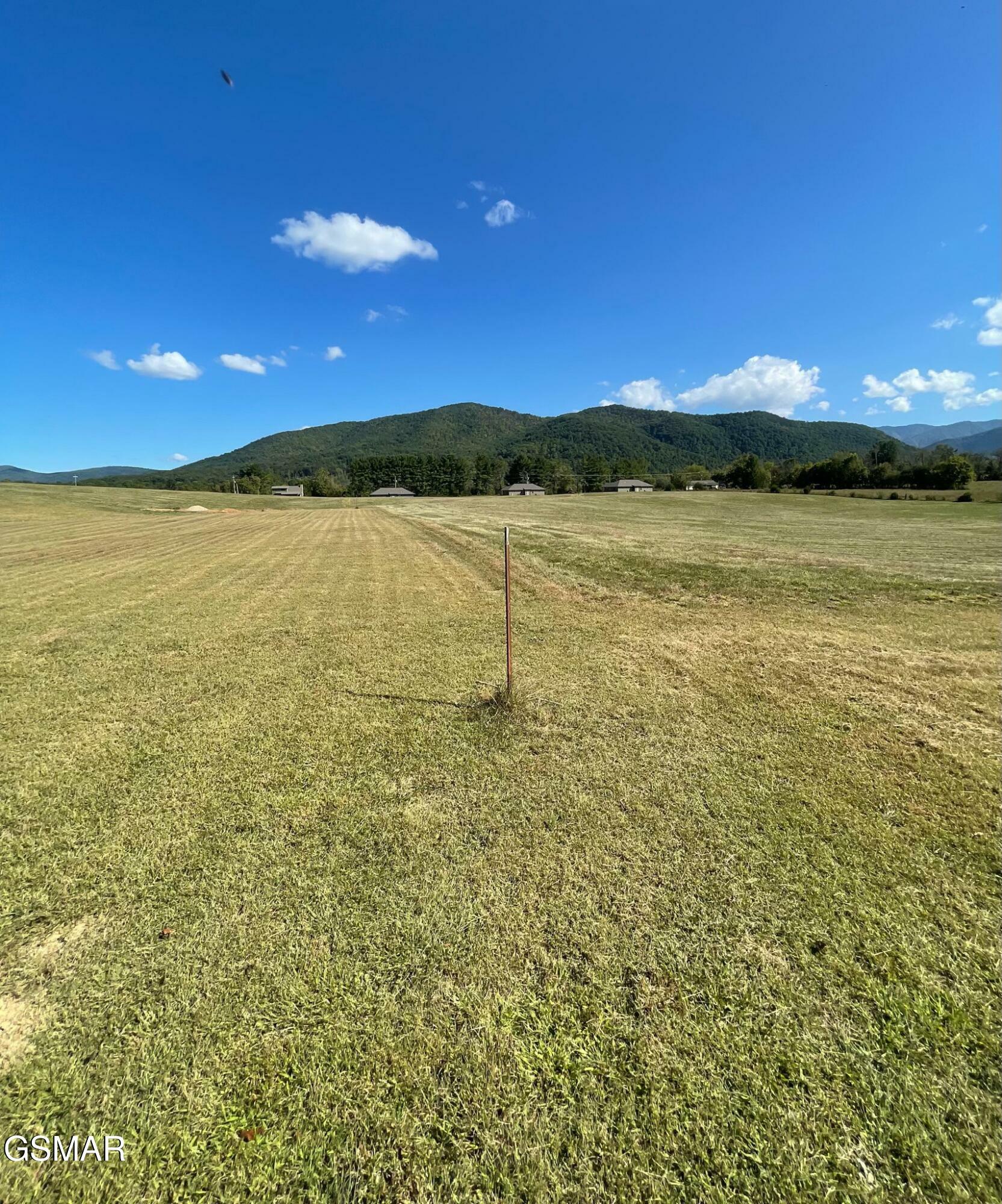 Property Photo:  5402 Cocke County Line Rd Road  TN 37722 