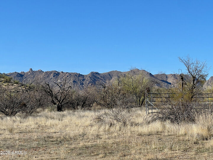 Property Photo: 27003 N 134th Street - AZ 85262