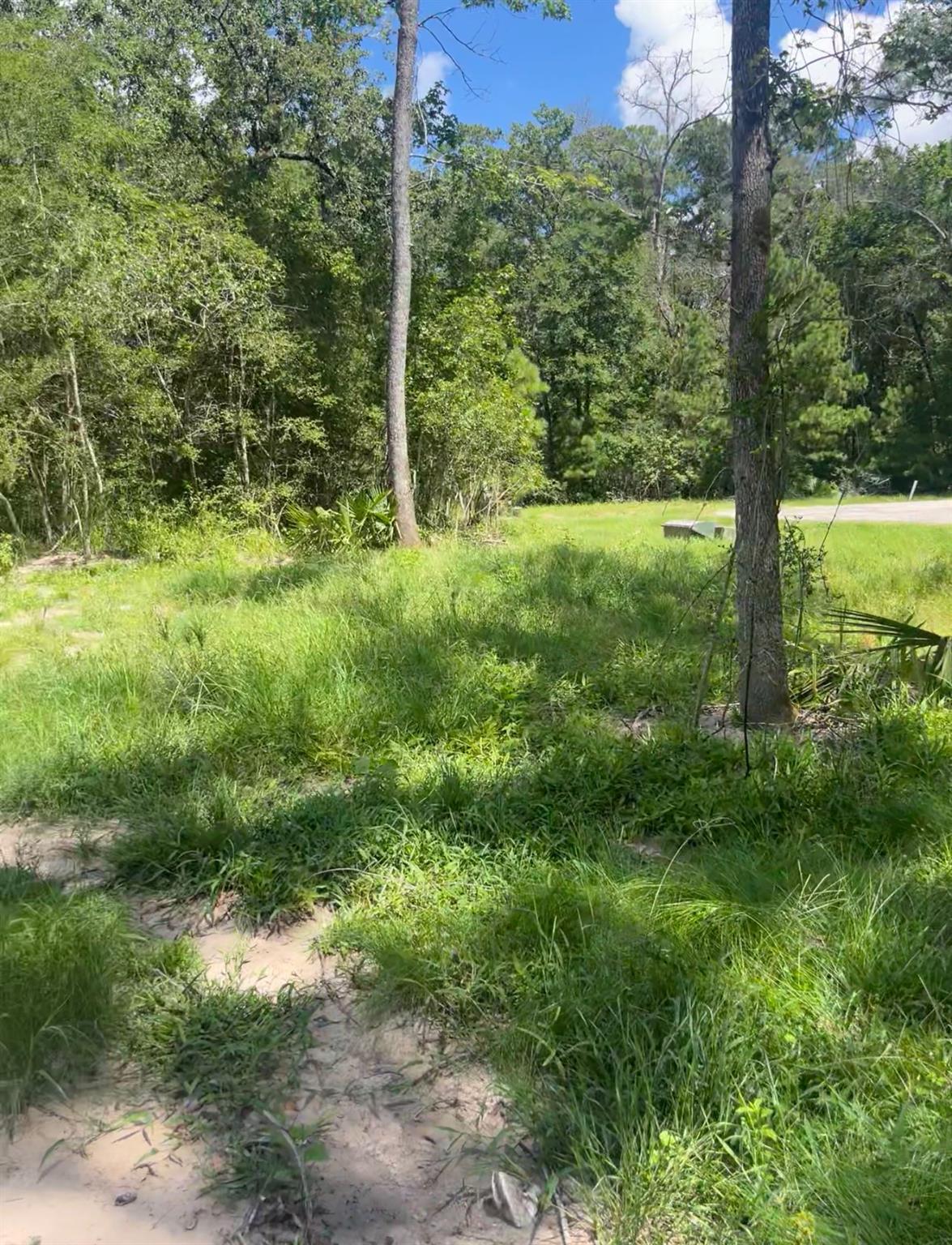 Property Photo: 58 Firewood Road TX 77340