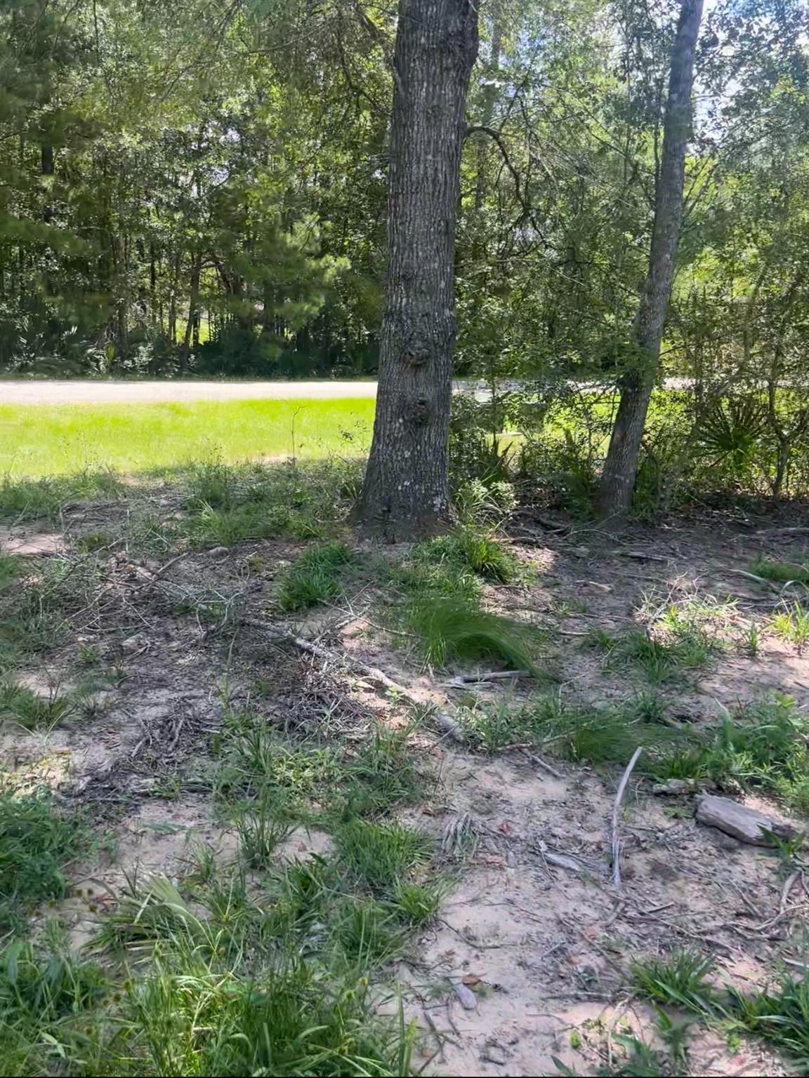 Property Photo: 56 Firewood Road TX 77340