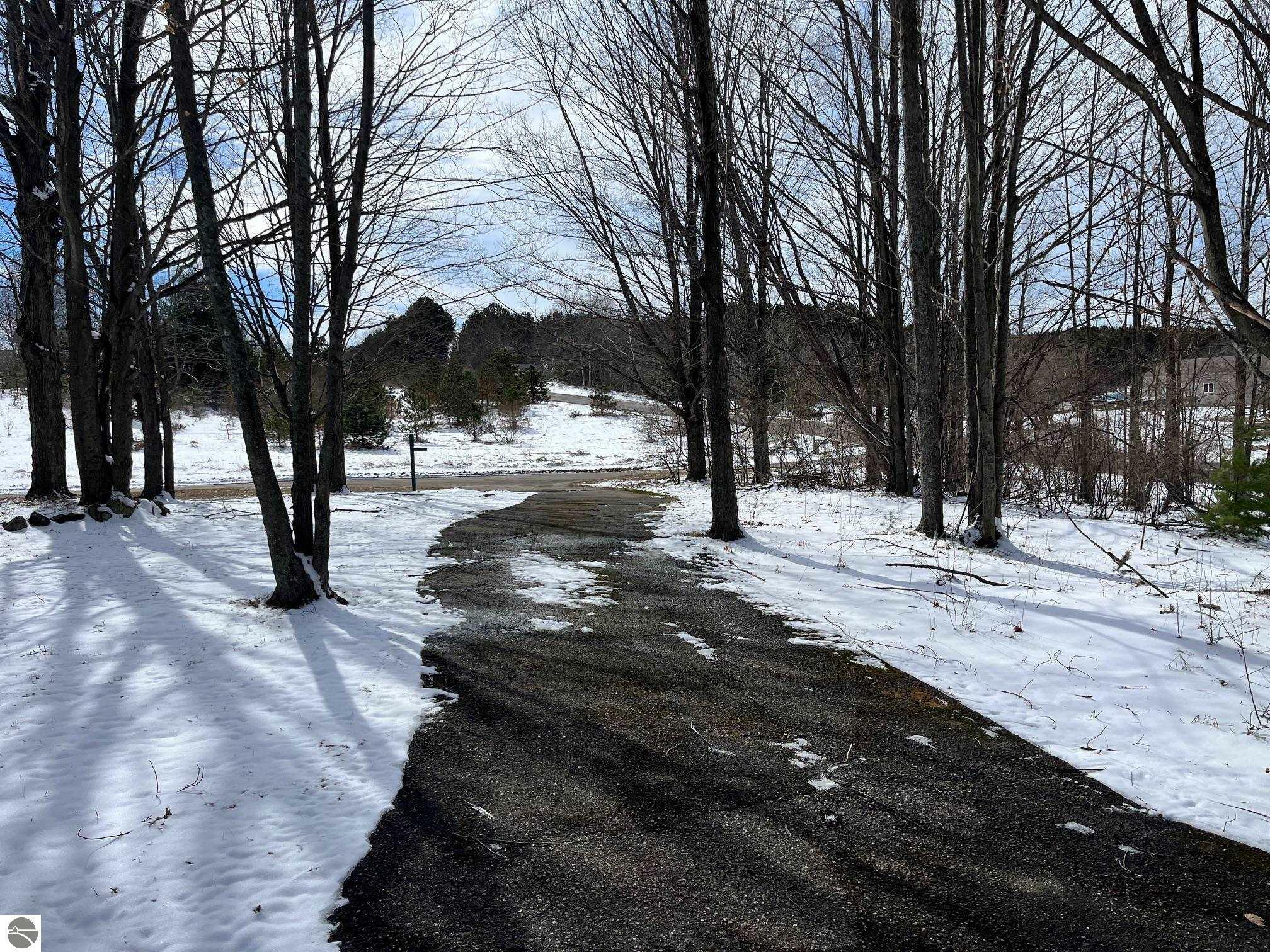 11841 Linderman Road  Bear Lake MI 49614 photo