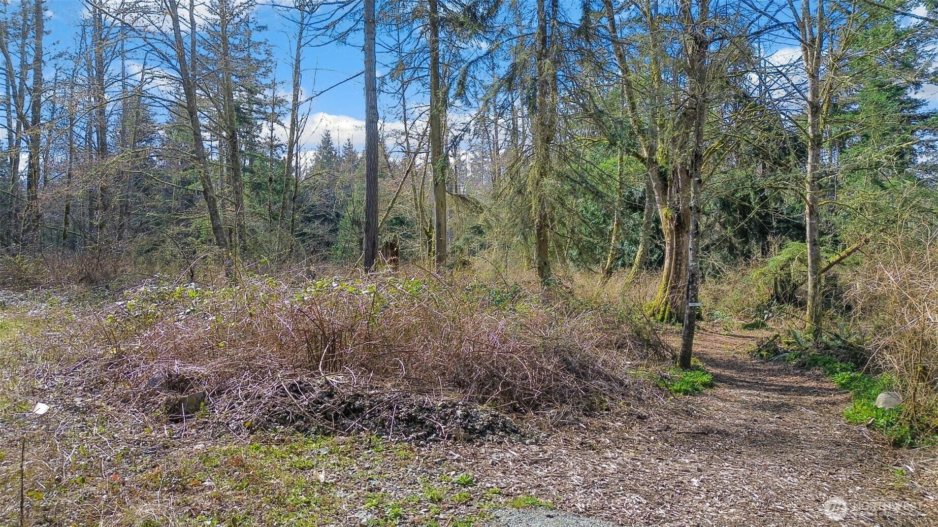 Property Photo: 0 Big Sky Lane WA 98282
