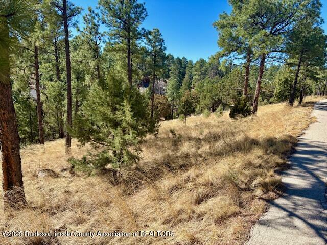 Property Photo: Lot 6 Camino Drive NM 88312