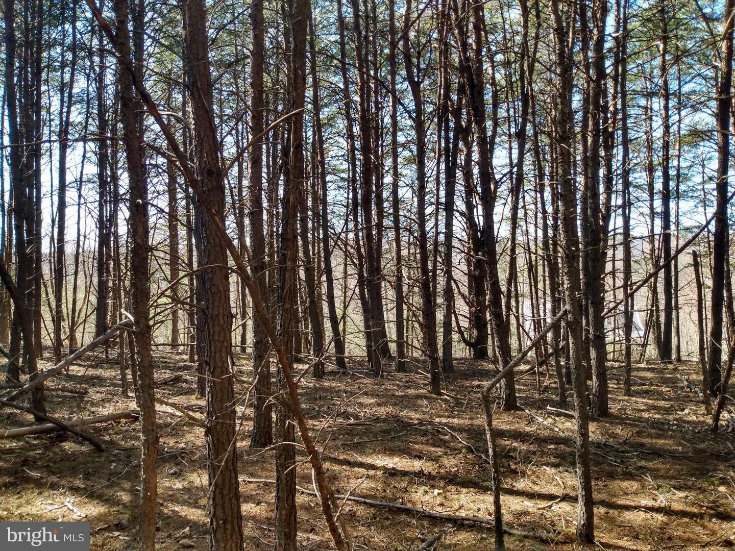 Property Photo: 206 Wagon Trail WV 25411