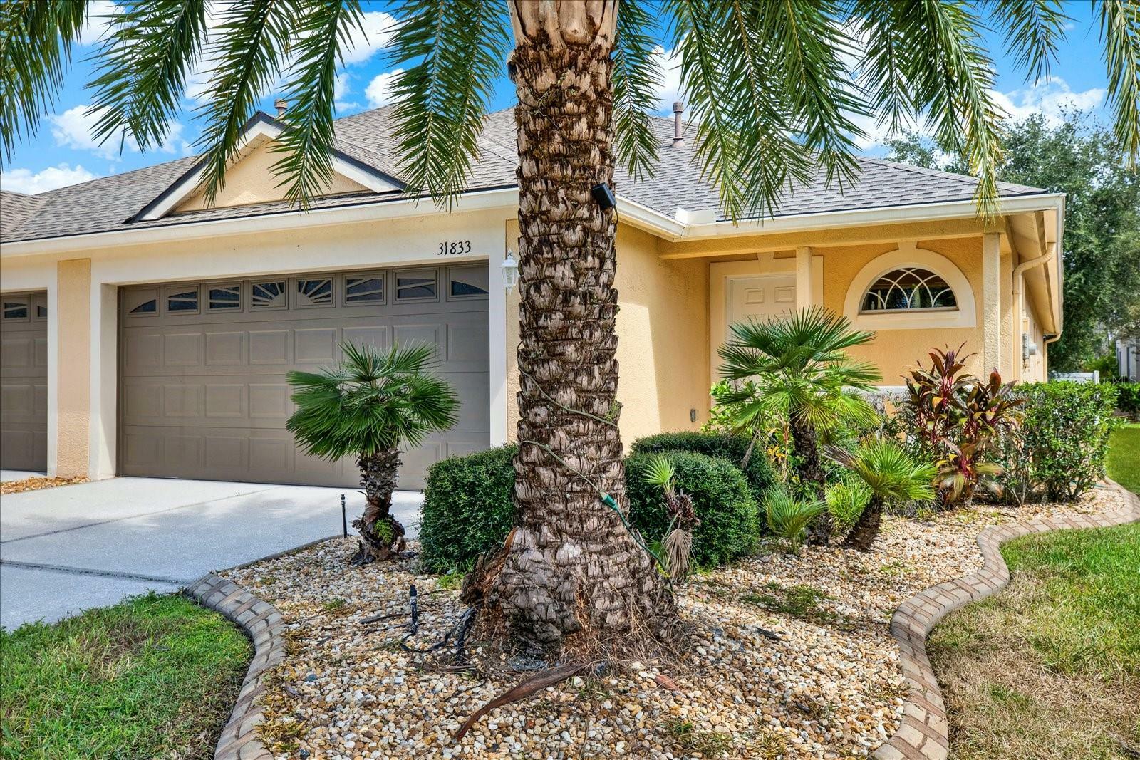 Property Photo: 31833 Turkeyhill Drive FL 33543