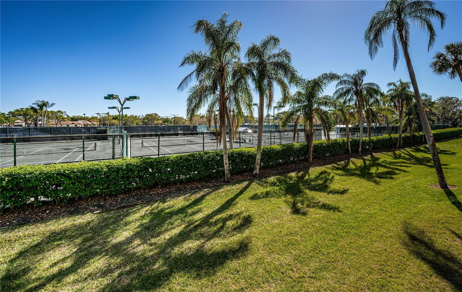 Property Photo: 3021 Countryside Boulevard 26A FL 33761