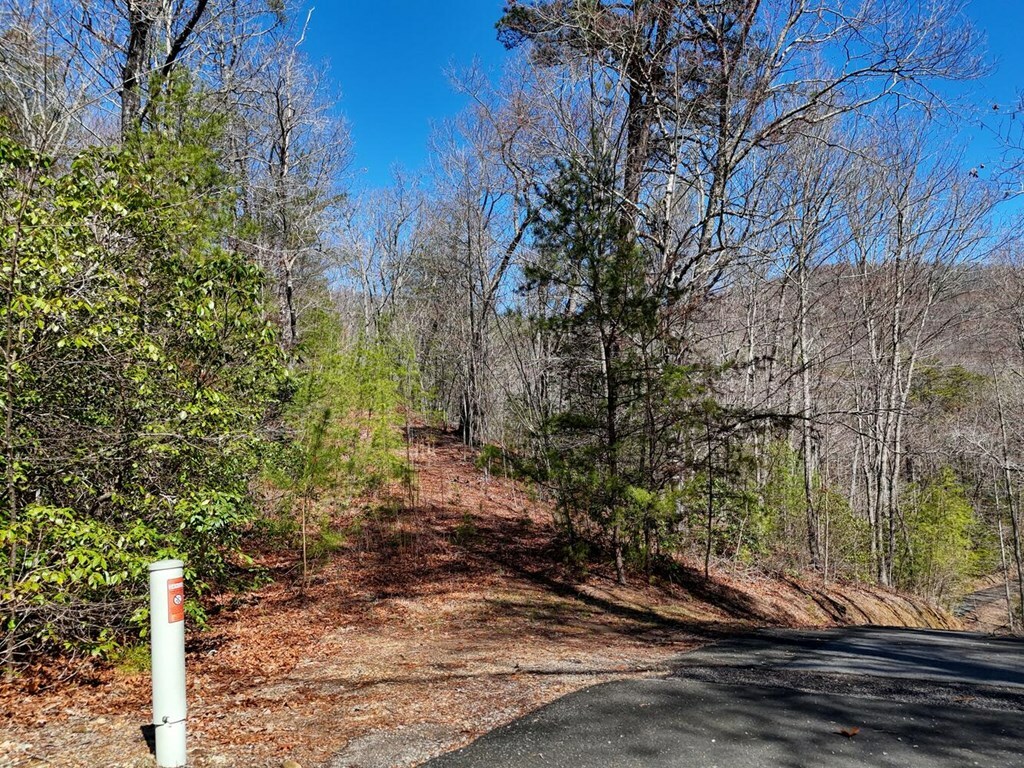 Property Photo: Lot 24 Mission Ridge Court NC 28904