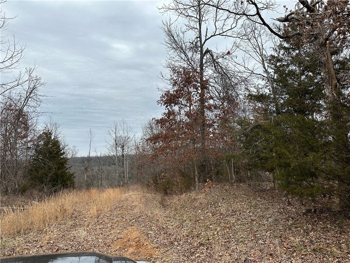 Property Photo: Lot 2 Deer Meadows Lane AR 72687