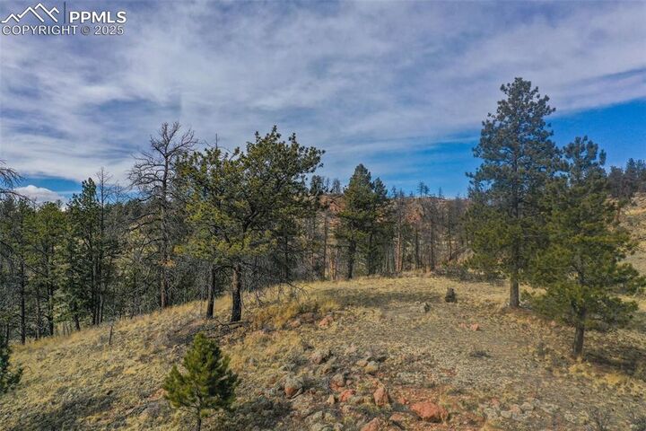 Property Photo: 397 Chateau West Drive CO 80816